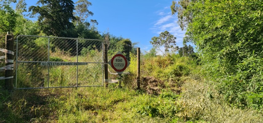 Hill Road paper road continues to the right of the mesh gate, photo: Gay Young