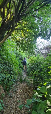 Rough track along paper road, photo: Gay Young