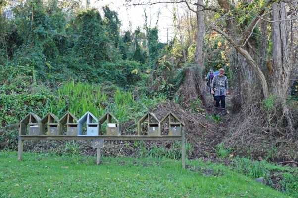 Paper road joins the formed part of Sievwright Lane, photo: Gillian Ward