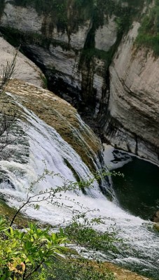 Te Reinga Falls, Photo by Gay Young