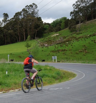 Waingake Road, photo Gillian Ward